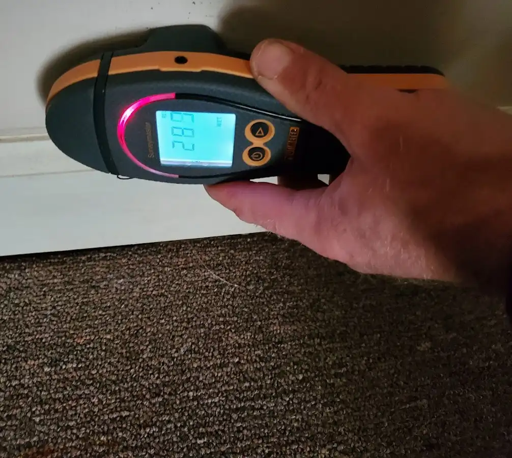 Moisture detection at baseboard during Mold Inspection & Testing in Coalinga
